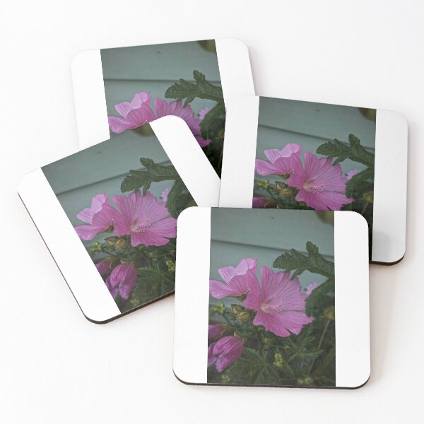 Item preview, Hollyhock Mallow designed and sold by HoneyedBrie.