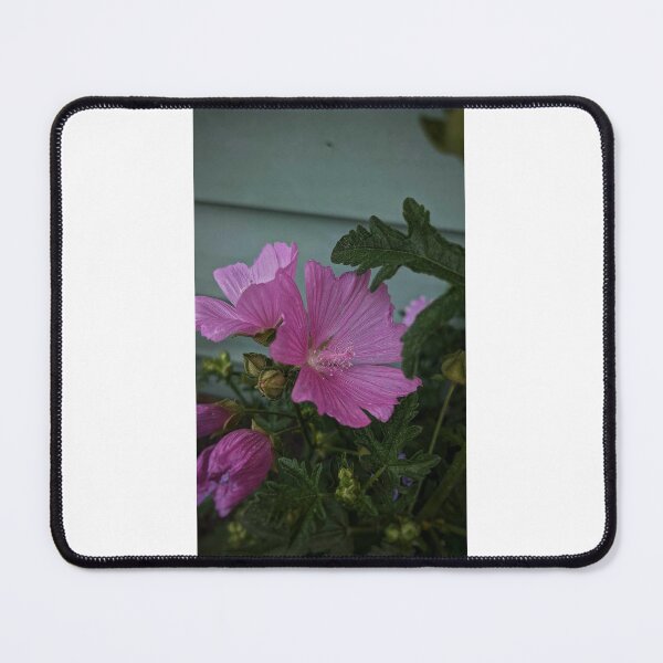 Item preview, Hollyhock Mallow designed and sold by HoneyedBrie.
