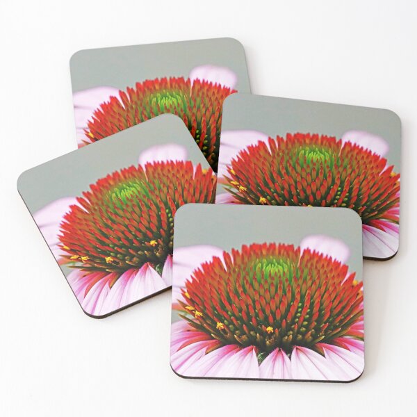 Item preview, Coneflower Spines designed and sold by Deb Oppermann.