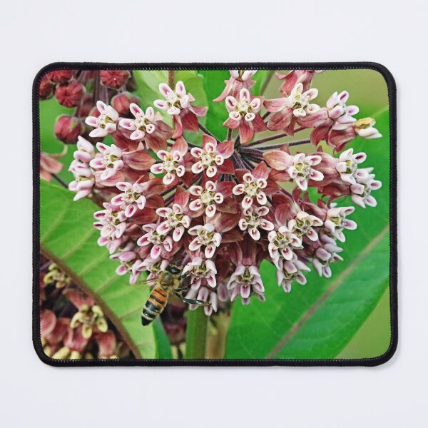 Item preview, The Bee And Milkweed designed and sold by Deb Oppermann.