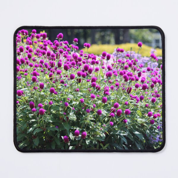 Item preview, Purple Amaranth Bush designed and sold by Cynthia48.