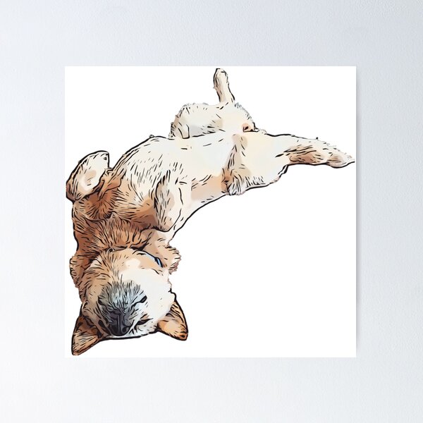 Aperçu de l'œuvre Australian Cattle Dog ACD Red Heeler Voici comment je dors créée et vendue par WallabyJelly.