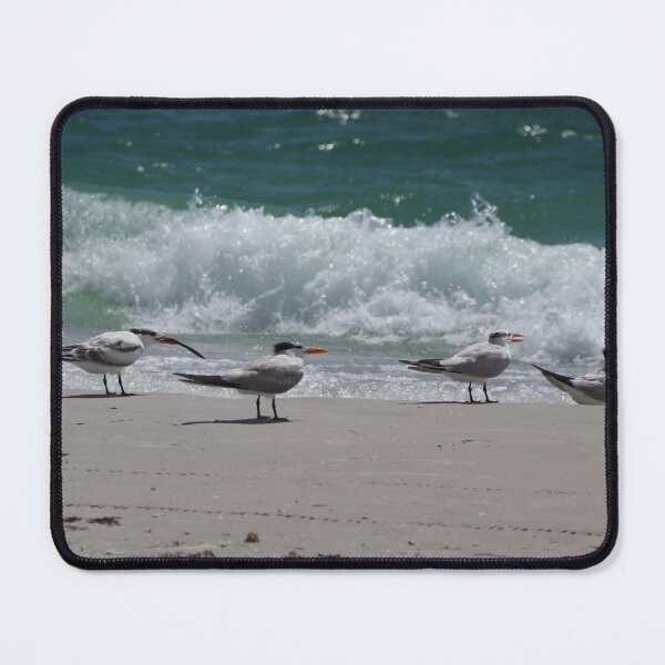Item preview, Seagulls plotting designed and sold by RiansWorks.