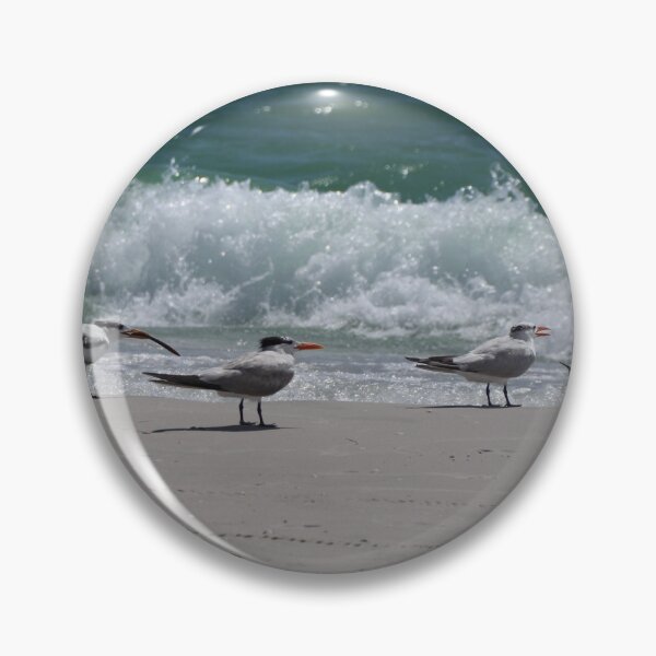 Item preview, Seagulls plotting designed and sold by RiansWorks.