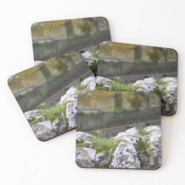 Item preview, Cashel designed and sold by Deb Mattingly.