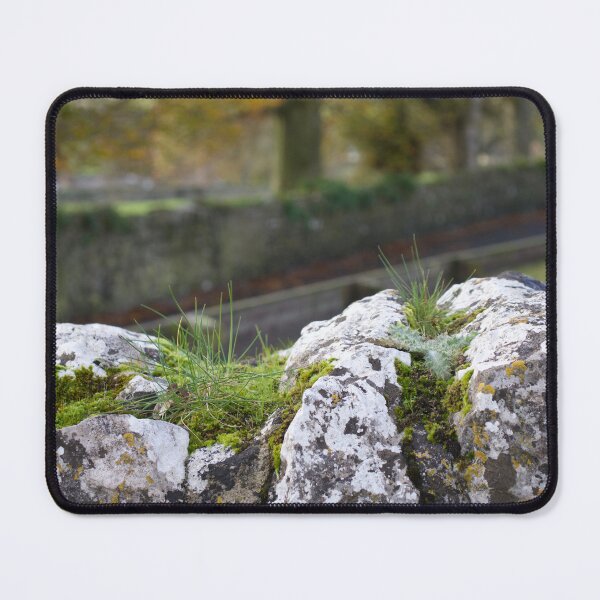 Item preview, Cashel designed and sold by Deb Mattingly.