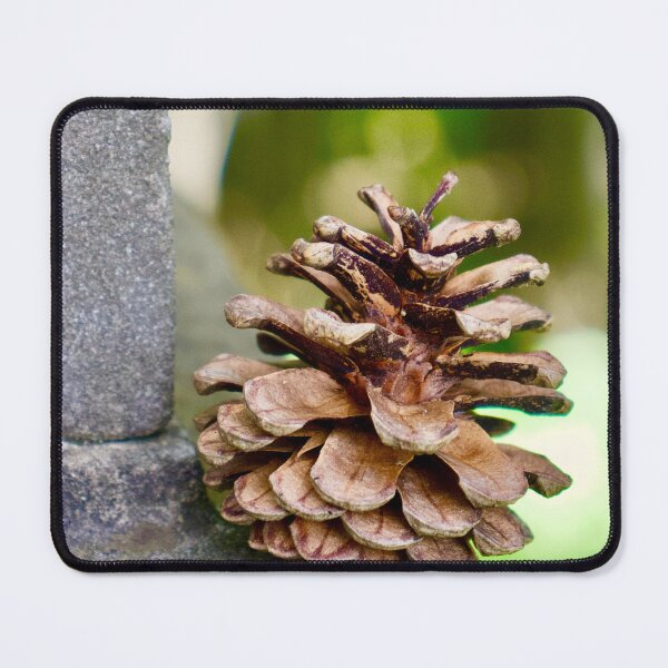 Item preview, Acorn designed and sold by Deb Mattingly.