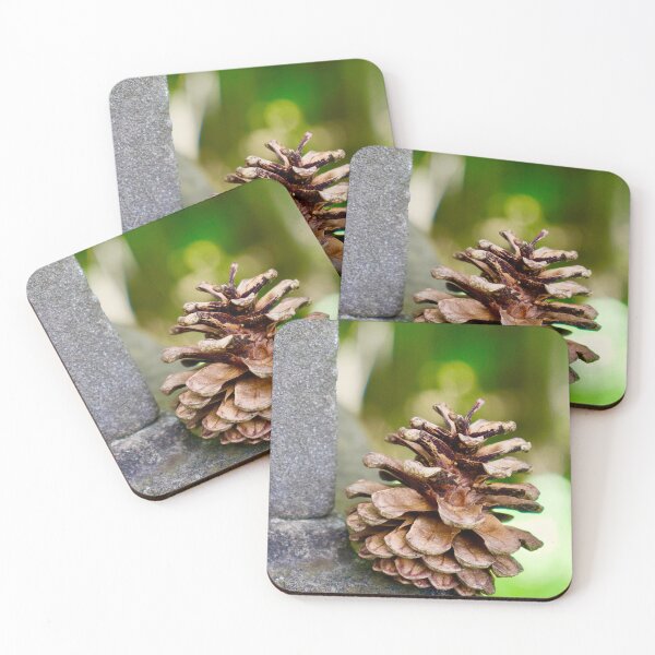 Item preview, Acorn designed and sold by Deb Mattingly.