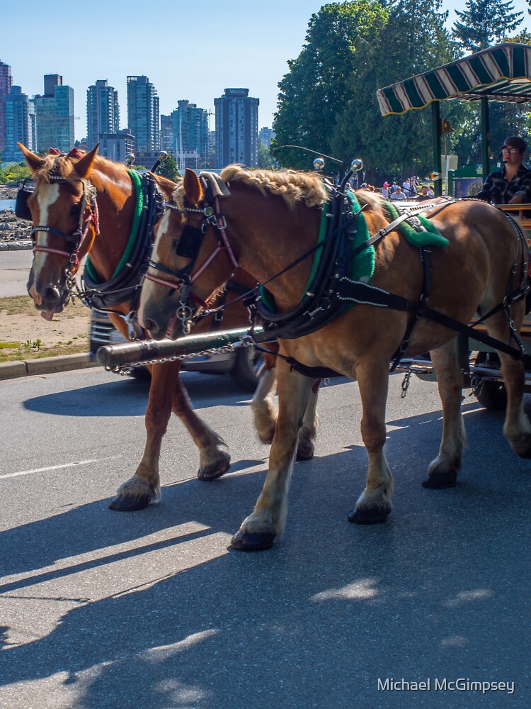 Stanley park sales horse drawn