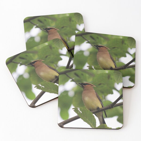 Item preview, Shaded designed and sold by Alyce Taylor.
