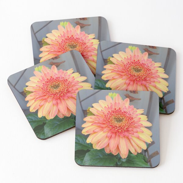 Item preview, Sunny Side Up Mixed Gerbera designed and sold by Claire L Page Photography.