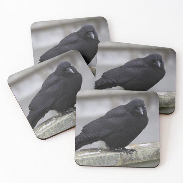 Item preview, Raven designed and sold by Alyce Taylor.