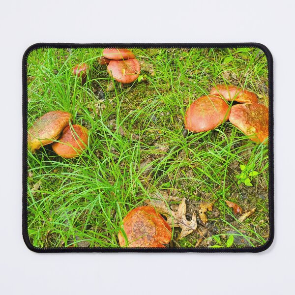 Item preview, Fairy Circle designed and sold by etherealwonders.