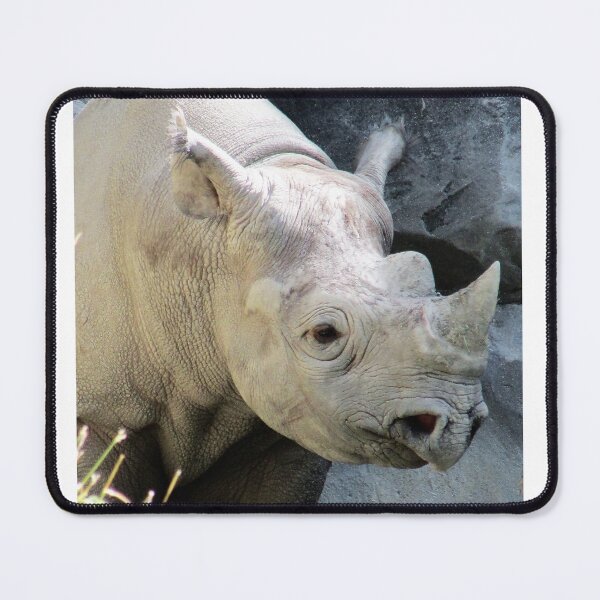 Item preview, Robbie Rhino designed and sold by Simple Joys Photography.