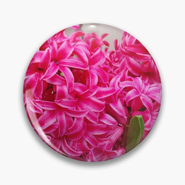 Item preview, Pretty Pink Hyacinths designed and sold by Claire L Page Photography.