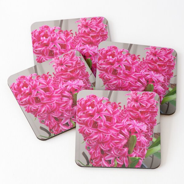 Item preview, Pretty Pink Hyacinths designed and sold by Claire L Page Photography.