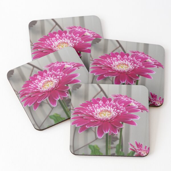Item preview, Pink Gerberas designed and sold by Claire L Page Photography.