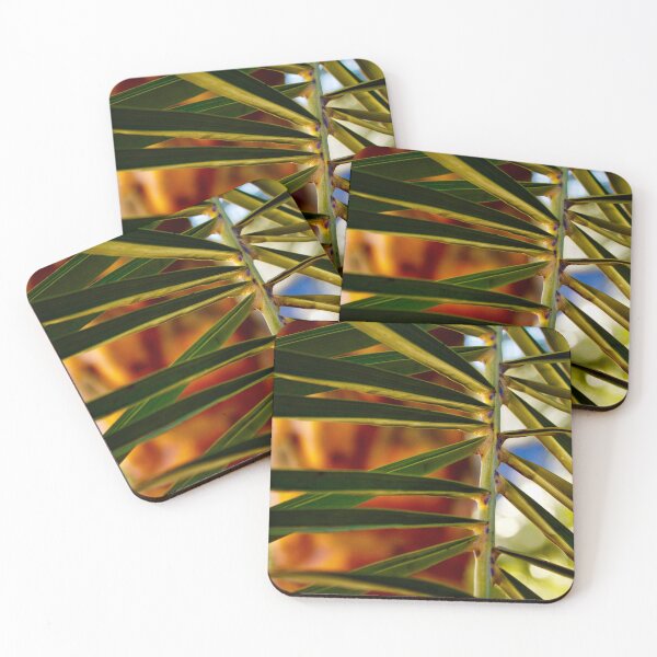 Item preview, Focused Frond designed and sold by DyrneSefa.