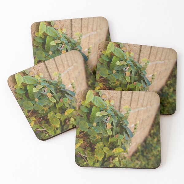 Item preview, Flat Foliage on Brick Wall designed and sold by DyrneSefa.
