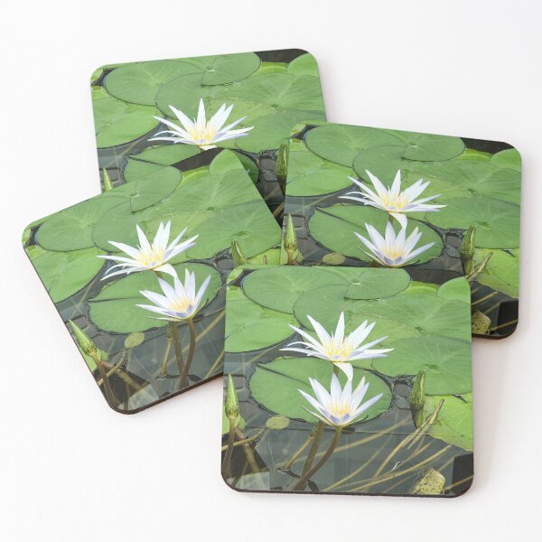 Item preview, Blue Nile Waterlilies designed and sold by Claire L Page Photography.
