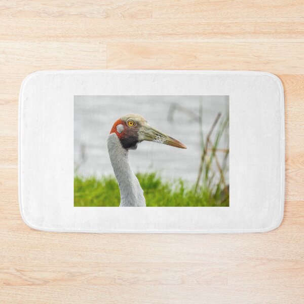 Item preview, Brolga designed and sold by Kathie Thomas.