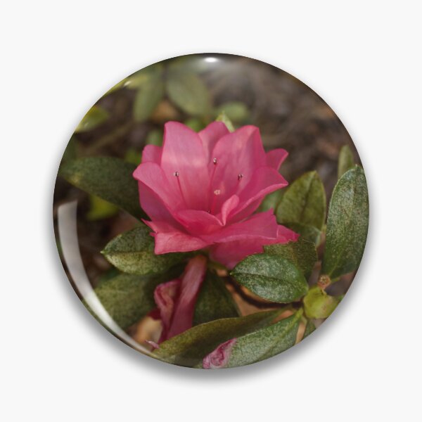 Item preview, Pink Garden Flower designed and sold by DyrneSefa.