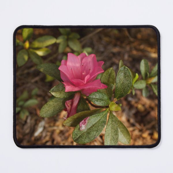 Item preview, Pink Garden Flower designed and sold by DyrneSefa.