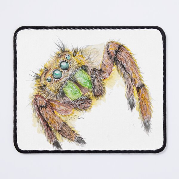 Item preview, A Curious Little Jumping Spider designed and sold by ArastanArtistry.