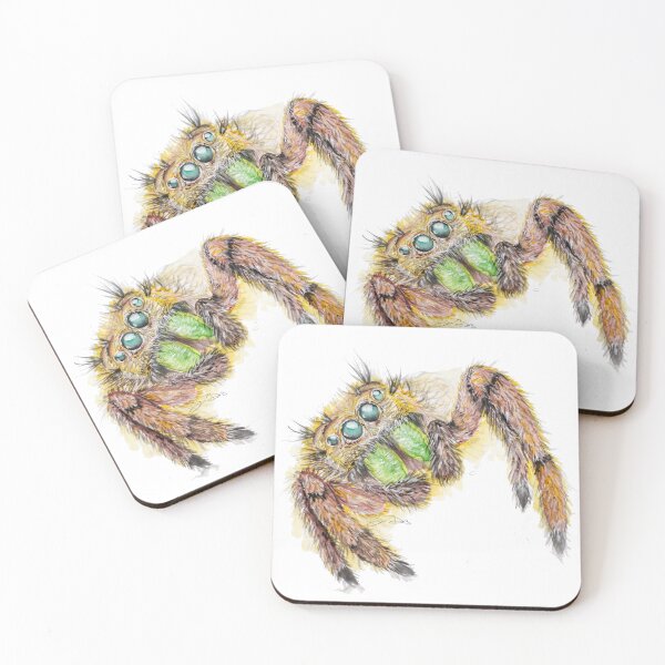 Item preview, A Curious Little Jumping Spider designed and sold by ArastanArtistry.