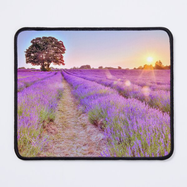 Item preview, Fields of Purple Dreams designed and sold by assaf.