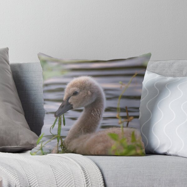 Item preview, Cygnet Treats designed and sold by byronbackyard.