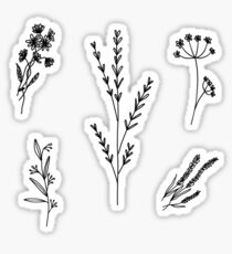 Plant Aesthetic: Stickers | Redbubble