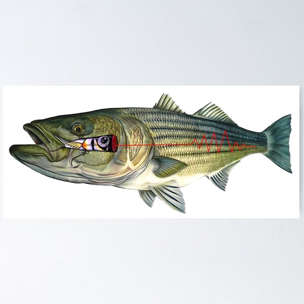 American flag Striped bass Fishing flag Poster for Sale by