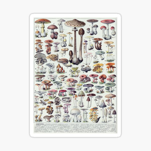 Item preview, vintage Mushrooms designed and sold by fleurdesignart.