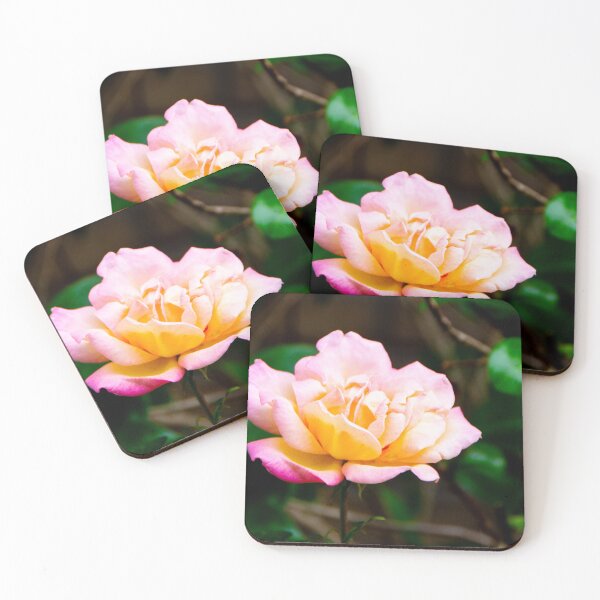Item preview, Morning joy rose designed and sold by jchanders.
