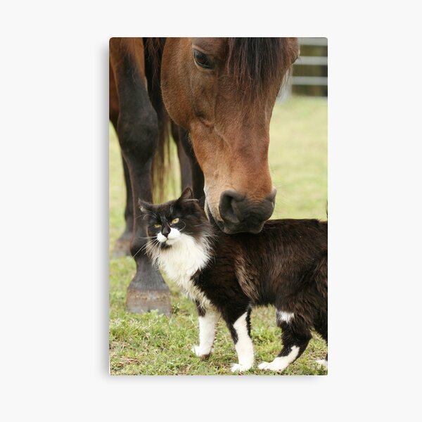 That's the Spot Canvas Print