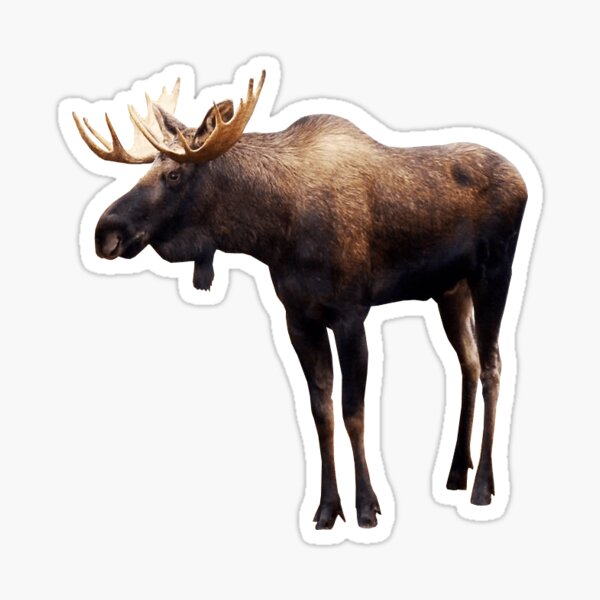 Item preview, Moose art designed and sold by PicsByJamez.