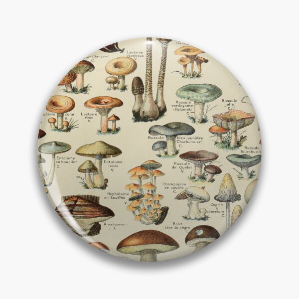 Item preview, Champignons (Adolphe Millot, Larousse) designed and sold by fleurdesignart.