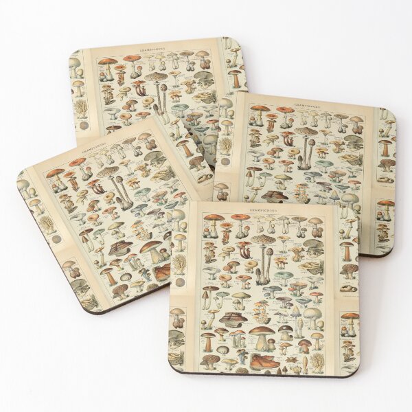 Item preview, Champignons (Adolphe Millot, Larousse) designed and sold by fleurdesignart.