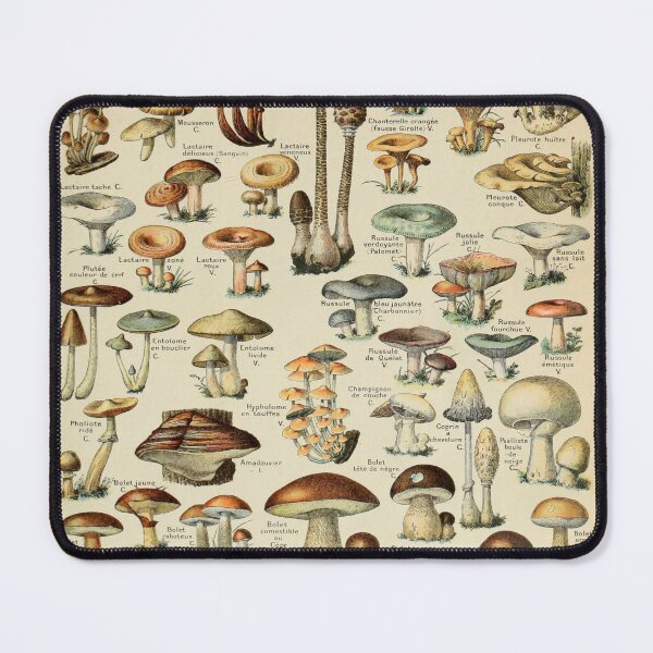 Item preview, Champignons (Adolphe Millot, Larousse) designed and sold by fleurdesignart.