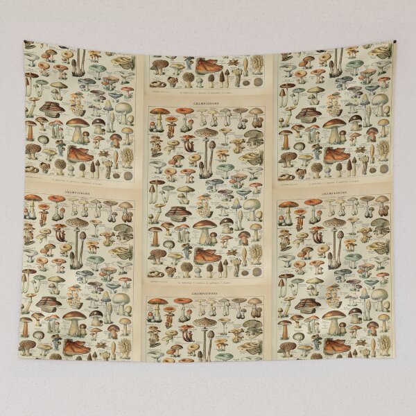 Item preview, Champignons (Adolphe Millot, Larousse) designed and sold by fleurdesignart.