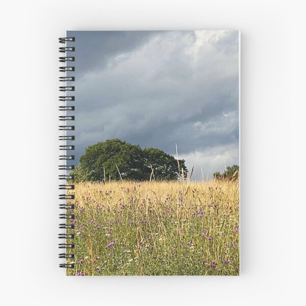Item preview, Vista de flores de cardo y nubes azul oscuro designed and sold by Paddyb17.