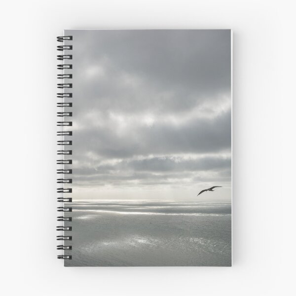 Item preview, Silver Ocean Soar designed and sold by Georgia Mizuleva.