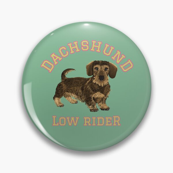 Item preview, Wire Haired Dachshund Low Rider Varsity Style designed and sold by barksandsqueaks.
