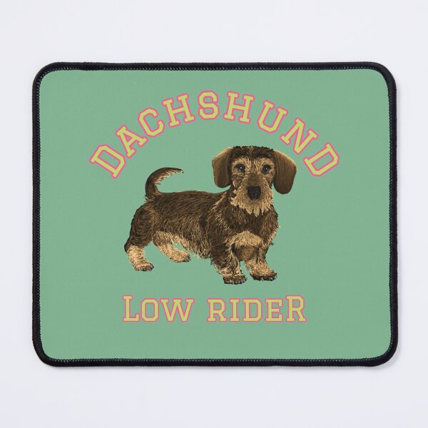 Item preview, Wire Haired Dachshund Low Rider Varsity Style designed and sold by barksandsqueaks.