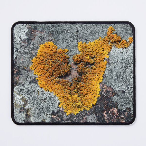 Artikelvorschau, Natürliches Herz - Xanthoria parietina Flechten wachsen auf Granit entworfen und verkauft von Taina Sohlman.