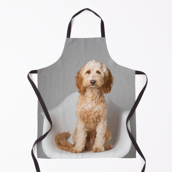 Item preview, Portrait of a Cockerpoo dog sitting in a mid-century modern design chair designed and sold by bailey-cooper.
