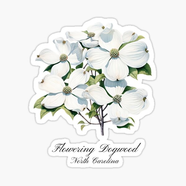 Item preview, North Carolina State Flower-Flowering Dogwood designed and sold by Counterbalance Dzigns.