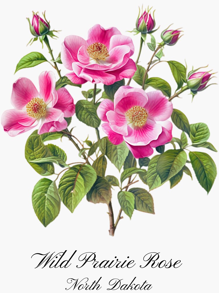 California Rose Racerback Tank California Rose Racerback Tank