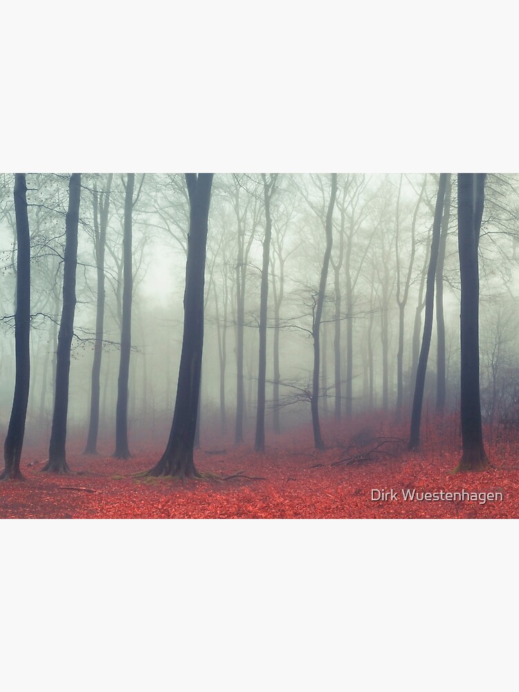 Sound of Fog - Winter Forest and Fog by DyrkWyst